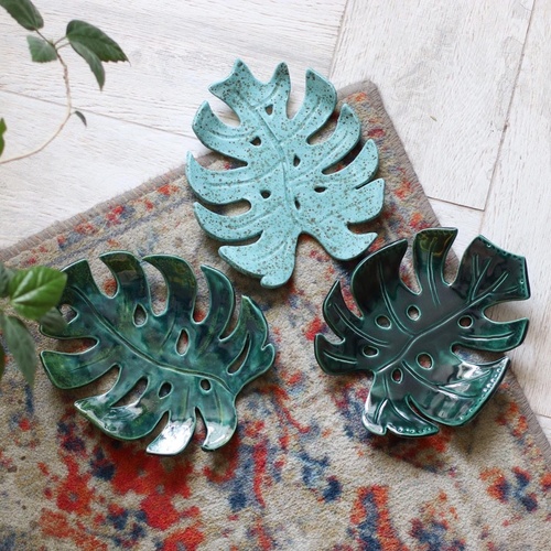 Монстера фото 4