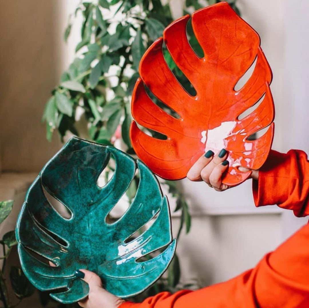 Монстера фото 6